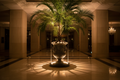 7-foot Kentia Palm in lobby urn with dramatic statement lighting